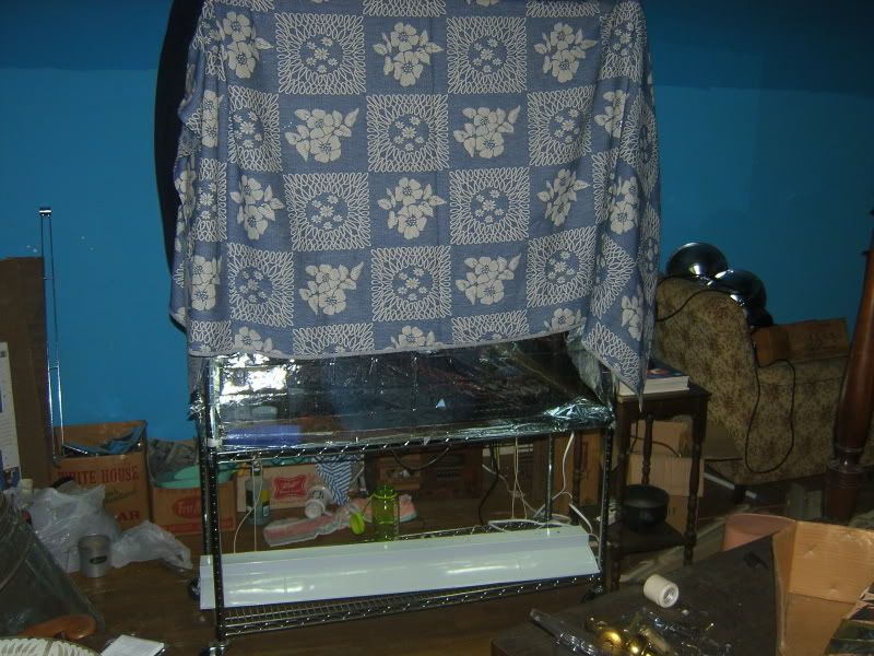 DCAM0045.jpg