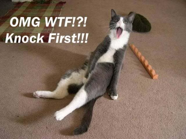 cat7jz0cn9.jpg