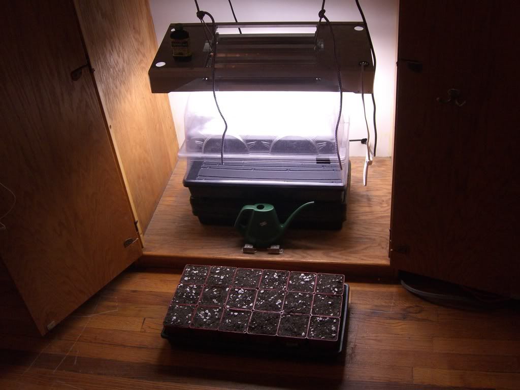 CIMG0393.jpg