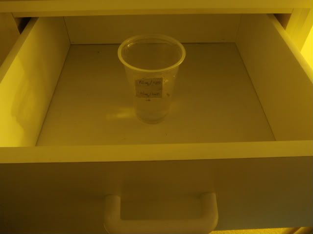 PA191199.jpg