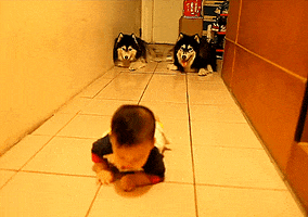 200_s.gif