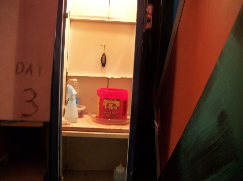 100_1171.jpg
