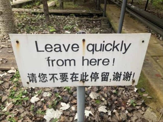1635072622_qdzu09c9pc.jpg
