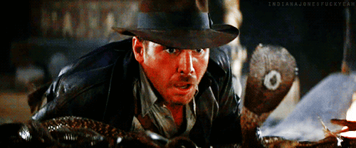 tumblr_ljkrxiUUuo1qi9q4ko1_500.gif