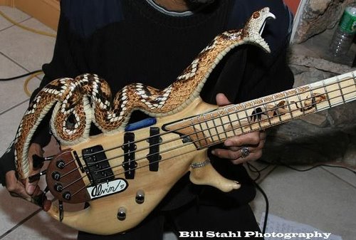 snake-guitar.jpg