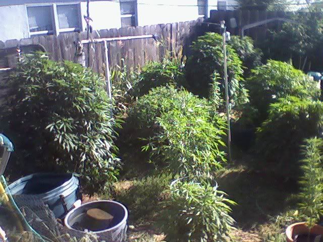 garden28-10.jpg