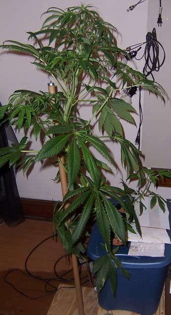 000_2739.jpg