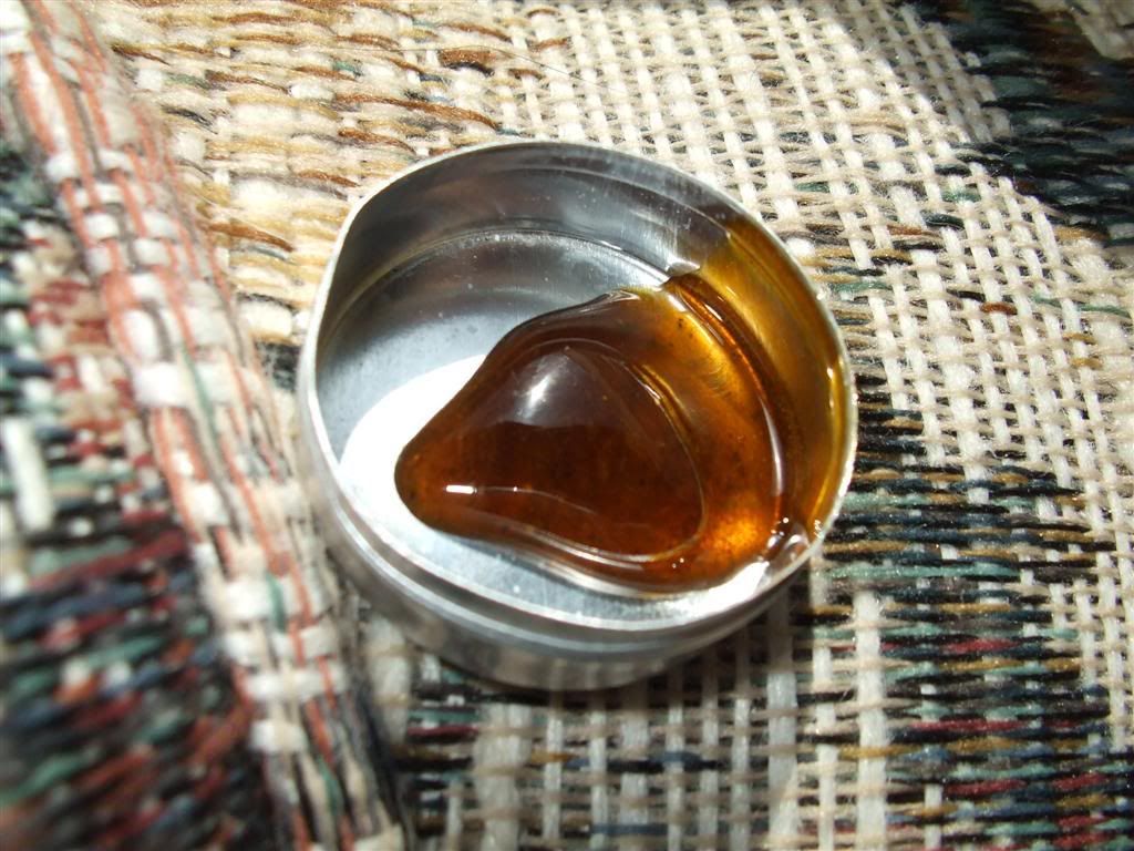 mmmmmhoney.jpg