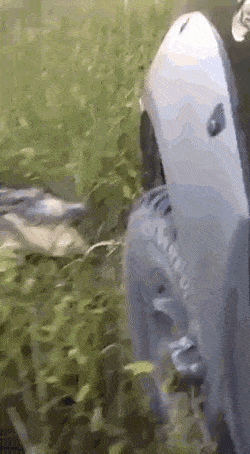 1662893606_18.gif