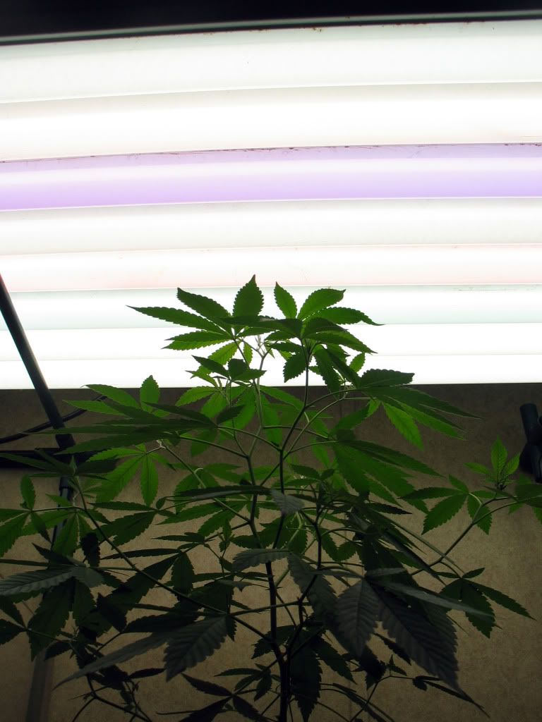 IMG_2508.jpg