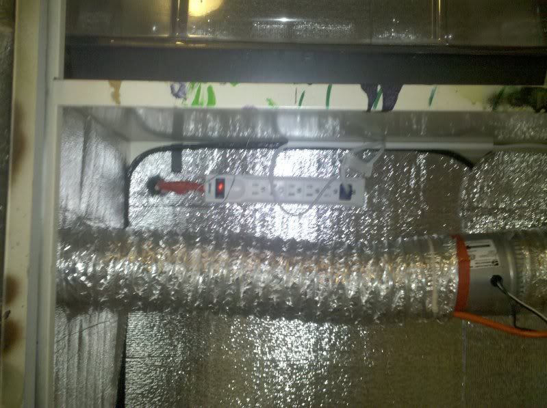 2010-03-07114117.jpg
