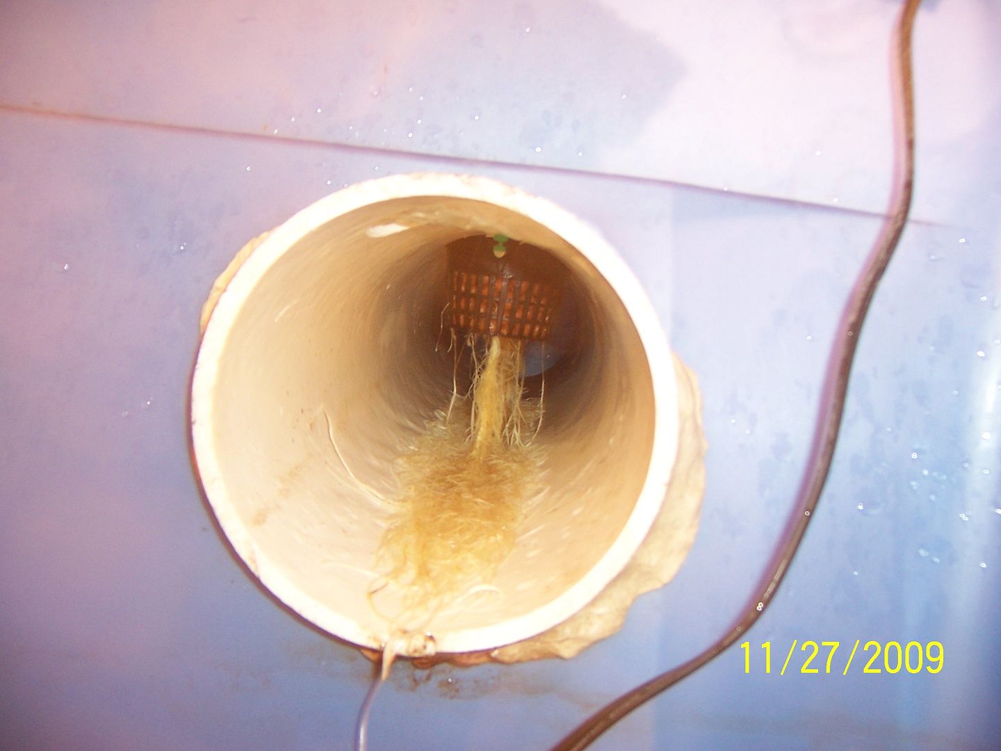 100_2305.jpg