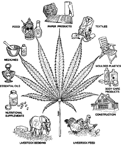 marijuana_sql.gif