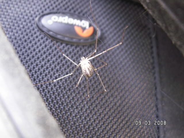 PICT0271.jpg