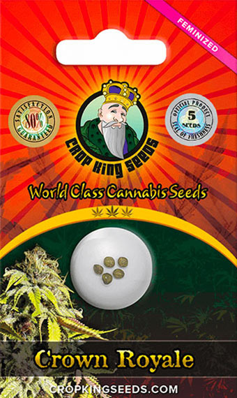 www.cropkingseeds.com