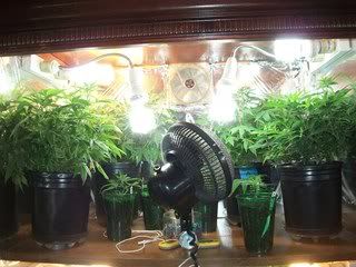 4-22-11001.jpg