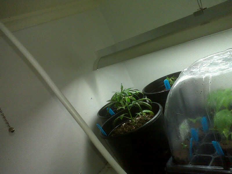 IMG01503.jpg