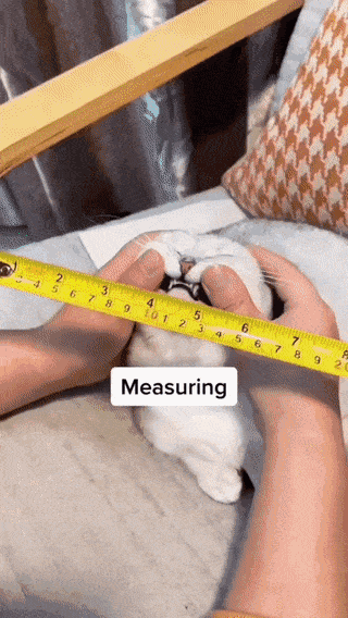 1677160653_14.gif