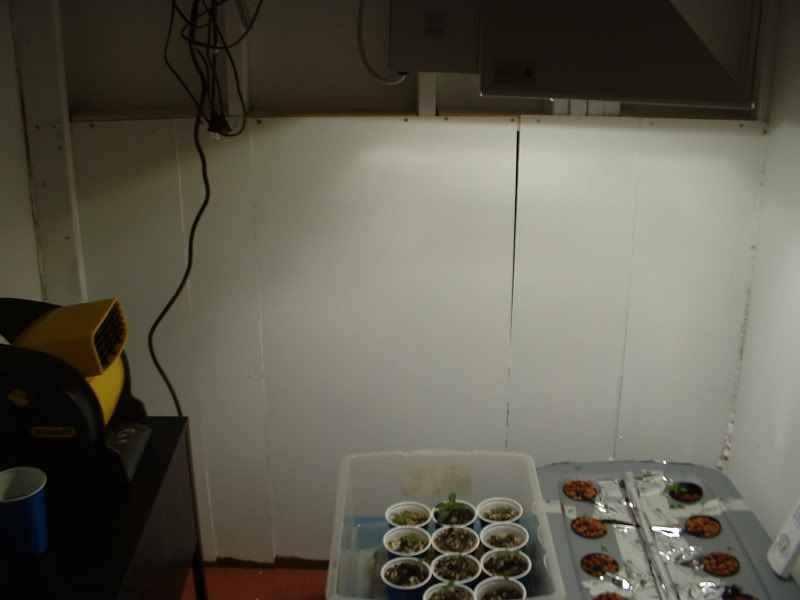 Picture004.jpg