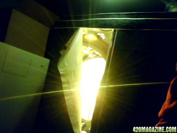 2009-03-25-153042.jpg
