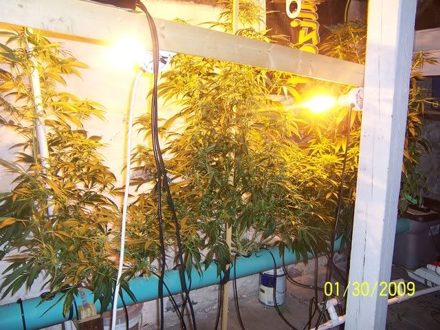 100_1230.jpg