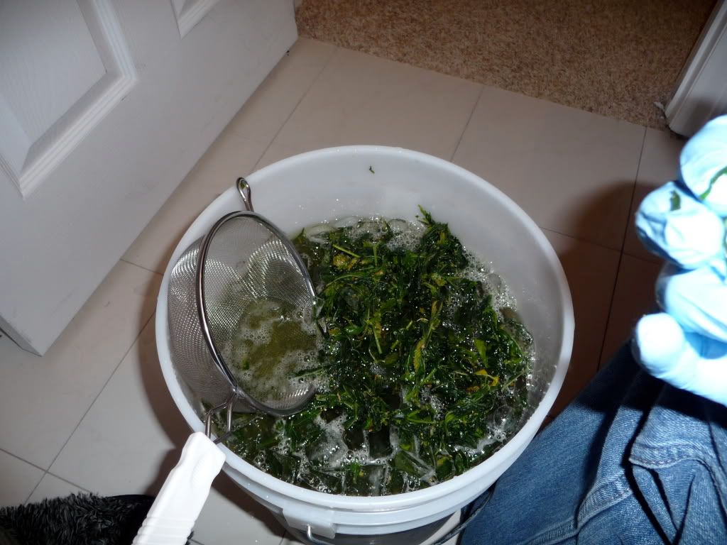 P1000202.jpg