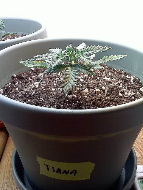 20120112132030.jpg