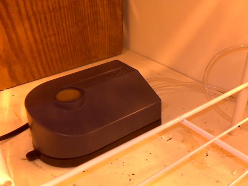 IMG00487.jpg