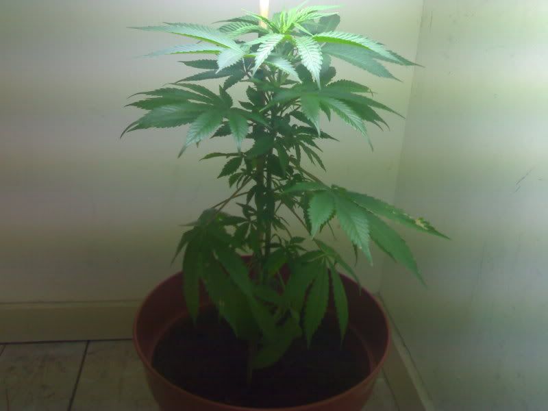 28092007178.jpg