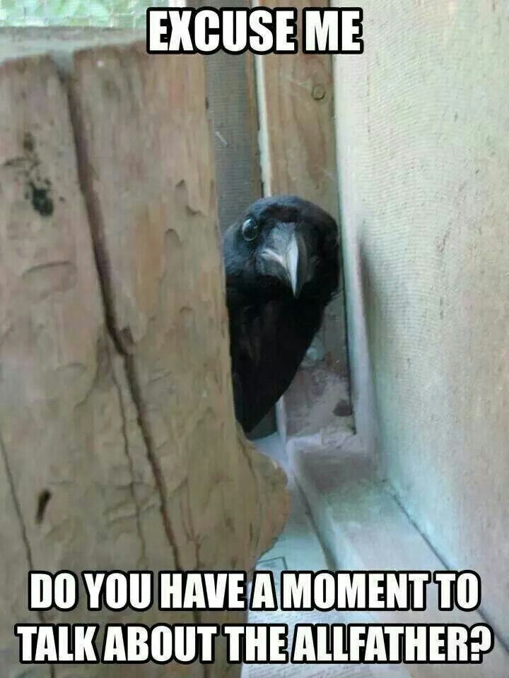 82e8e886136f76b91d5feb83dc9b4892.jpg