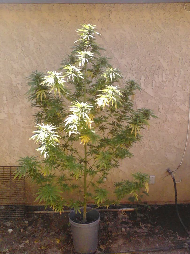 0824001043a.jpg
