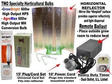 600watt.jpg