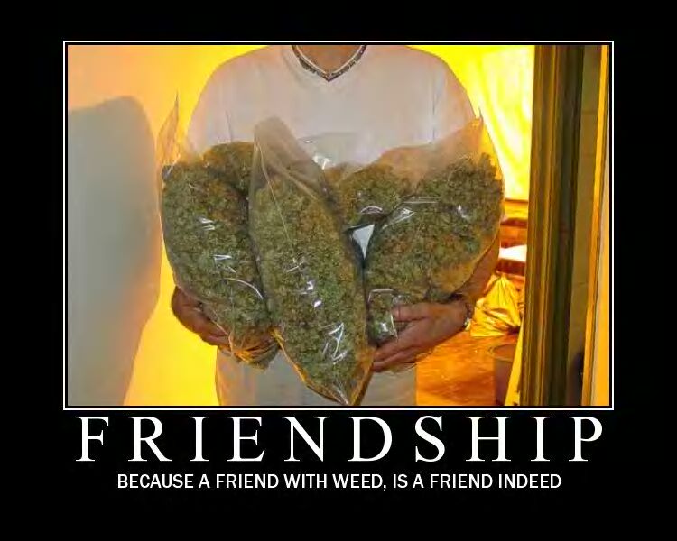 a_friend_with_weed_is_a_friend_indeed_motivational_poster.jpg