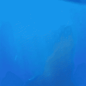 gifs_25.gif