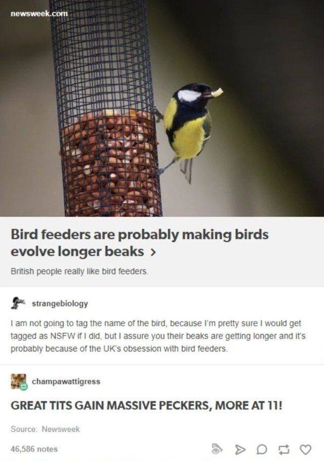 just_dont_give_them_ideas_09.jpg