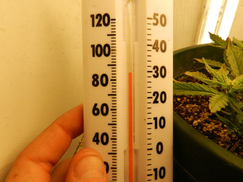 DSCN0284.jpg