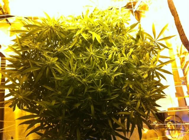 photo2-5-1.jpg