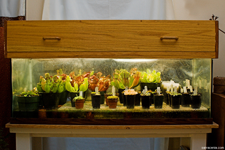 horticultu039.jpg