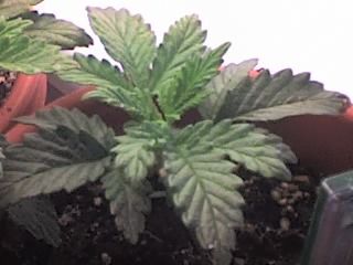 09-04-07_1825.jpg