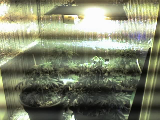 09-26-07_1547.jpg