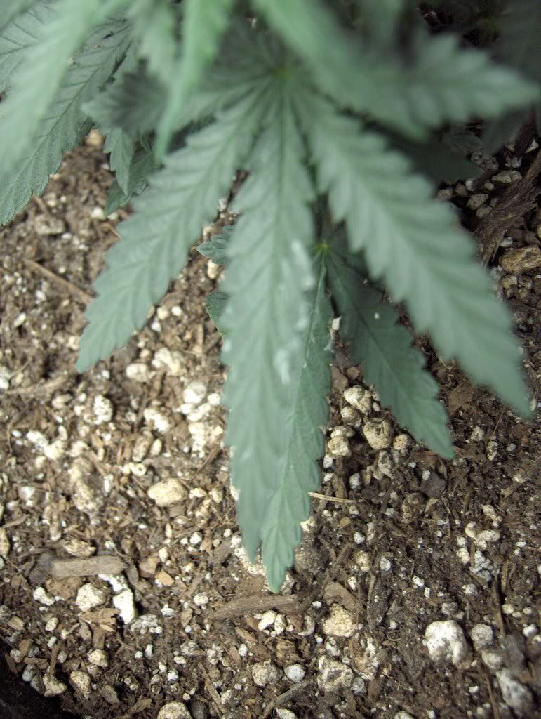 HPIM0644.jpg