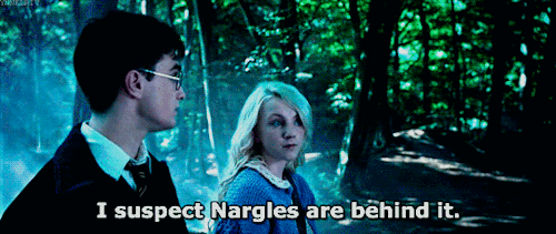 5745a20a03cf347c11718c64c1dfd3e6a8d0323a_hq.gif