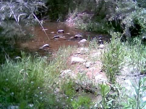 26f102f29090.jpg