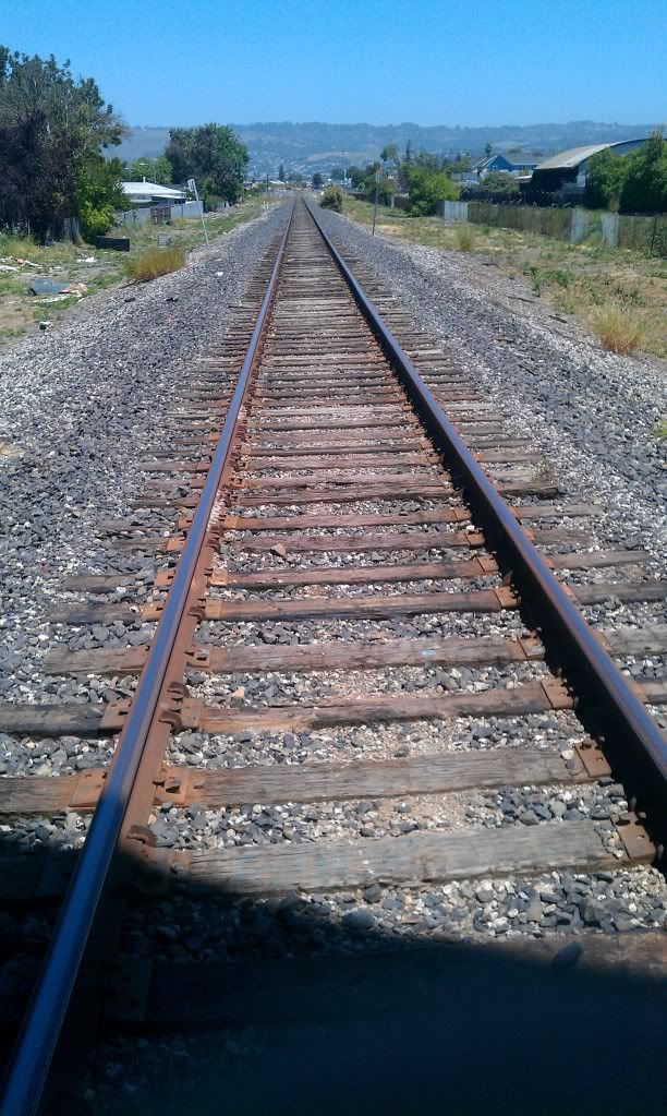 IMAG1030.jpg