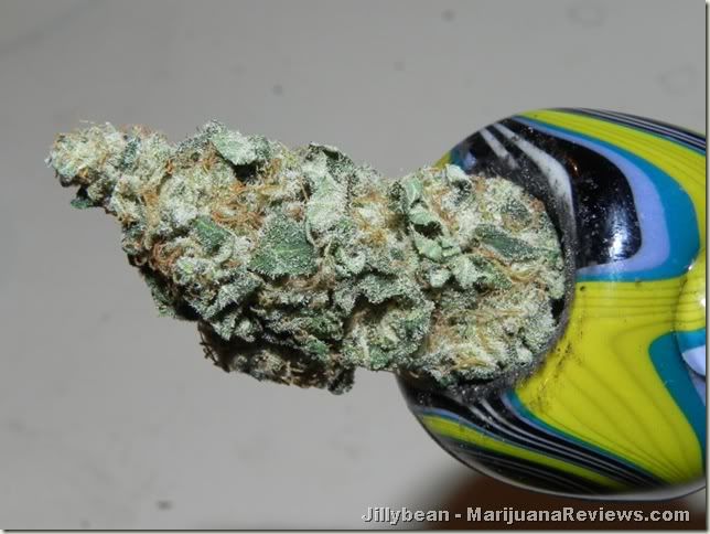 81610kush2pushjillybean5.jpg