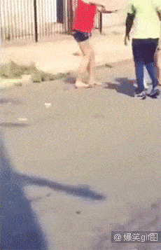 giphy.gif