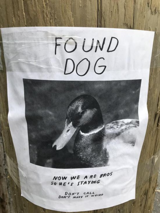 acid_picdump_88.jpg