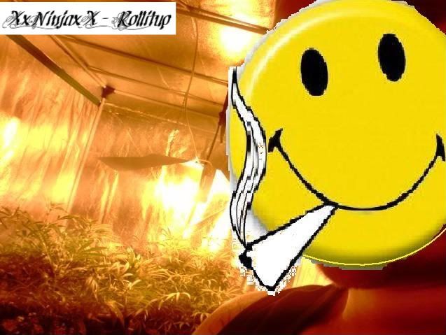 GrowRoom-1.jpg