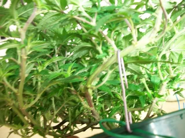 4-22-11013.jpg