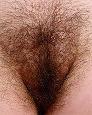 hairy+fanny.jpg